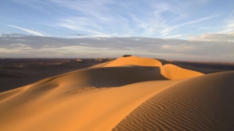Libyan Desert